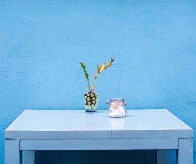 table-white-flower-interior-home-wall-1076294-pxhere.com