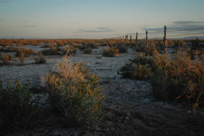 topaz-affair-57-04_4