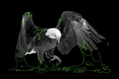 01editorial-100-image-superJumbo