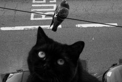 13_Finalist_JimLaSouille_France-681359ea644cd__700