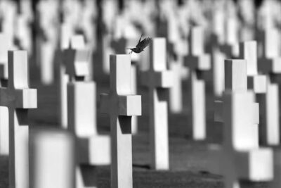 9284d3bf0b8d06d13635ec52d0c5070162d0df80