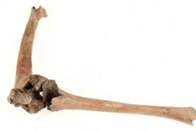 Screen Shot 2025-05-20 at 6.45.45 AM