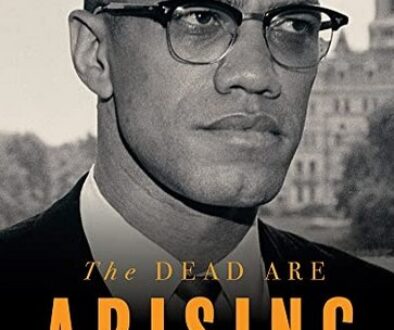 Screenshot 2025-05-14 at 13-12-17 summarize The Dead Are Arising The Life of Malcolm X