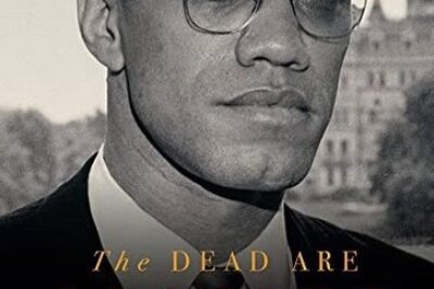 Screenshot 2025-05-14 at 13-12-17 summarize The Dead Are Arising The Life of Malcolm X