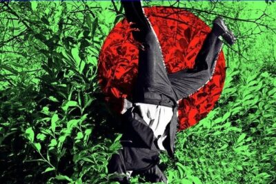 Screenshot 2025-05-30 at 06-32-39 CEO of Anthropic Warns That AI Will Destroy Huge Proportion of Well-Paying Jobs