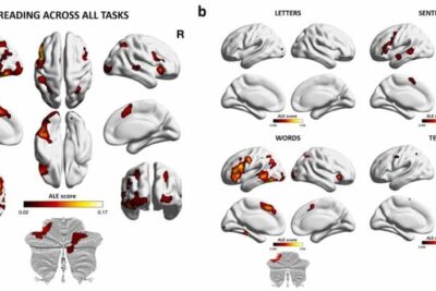 a-comprehensive-look-a-1140x578