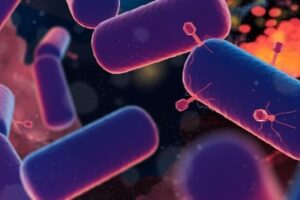 microbes