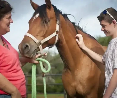 1084px-STAR_Healing_With_Horses_treats_children_with_secondary_PTSD_140617-A-ZU930-002-960x638