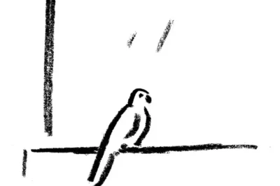 29diary-illos-1-jumbo