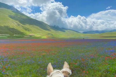 684c311c376b3_u32scz18s31b1__700