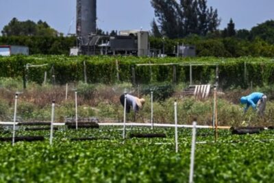 Screen Shot 2025-06-17 at 12.45.16 PM