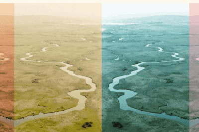 Screenshot 2025-06-07 at 08-38-31 The World is Alive or How Robert Macfarlane Came to Trust His Senses ‹ Literary Hub