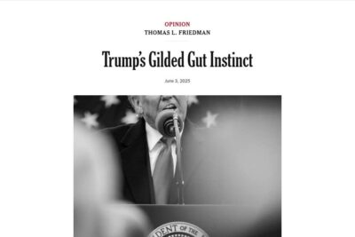 Opinion | Trump’s Gilded Gut Instinct