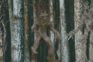 A Tall Tree Reading List 