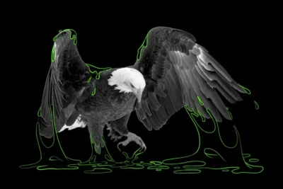 01editorial-100-image-superJumbo