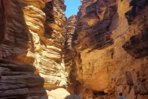 23HS-grand-canyon-fossils-01-gmqk-superJumbo