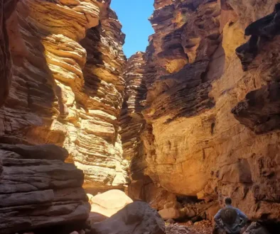 23HS-grand-canyon-fossils-01-gmqk-superJumbo