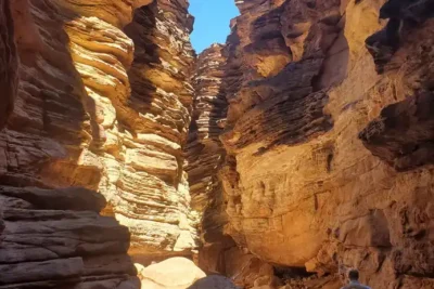 23HS-grand-canyon-fossils-01-gmqk-superJumbo