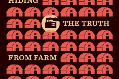 6262ff7e0c831a40eddc970020aaebff47eb4029