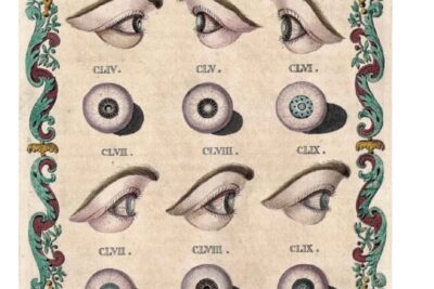 The Life and Extraordinary History of the Chevalier John Taylor: The Eye Surgeon Who Robbed You Blind – Flashbak