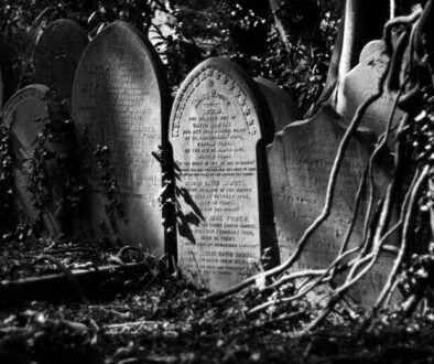 Disneyland of the Dead 