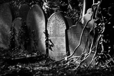 Disneyland of the Dead 