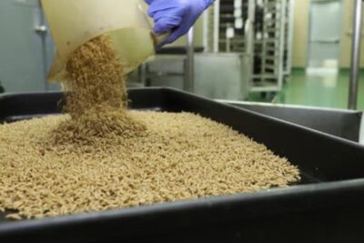 Screen Shot 2025-07-02 at 1.27.37 PM