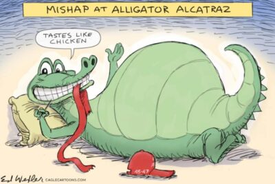 Screen Shot 2025-07-05 at 7.49.02 AM