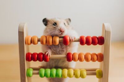 file-20250418-56-9eikll