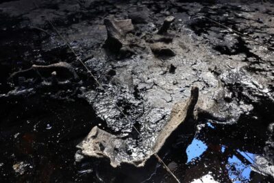 la_brea_and_beyond_1050x700