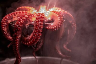 photo-1583180527676-8dbfe98c2c87