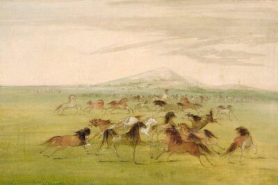 the_rise_and_fall_of_the_equestrian_cultures_of_the_plains_1050x700