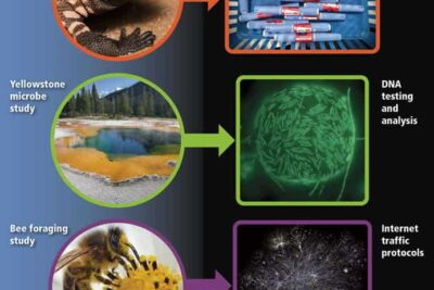 2025-113-4-220-policy-1-natural_0