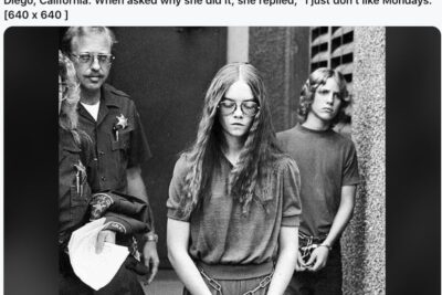 Screen Shot 2025-08-09 at 7.59.24 AM