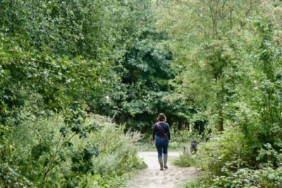 Screen Shot 2025-08-11 at 7.39.59 AM