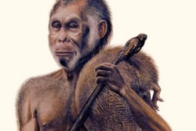 Screen Shot 2025-08-12 at 7.42.01 AM