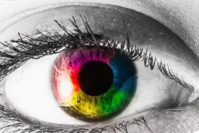 Screen Shot 2025-08-13 at 8.43.29 AM