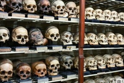 Screen Shot 2025-08-27 at 7.55.48 AM