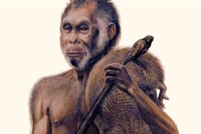 Untitled-design-4-1-1240x506