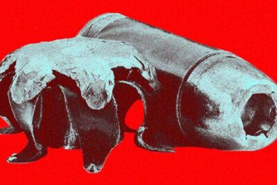 cropped-Final-social