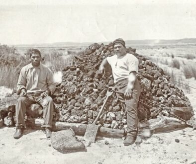 kauri-gum-digging-02