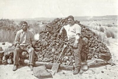 kauri-gum-digging-02