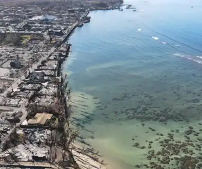 maui-wildfires-lahaina-coast
