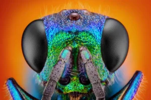 urlhttps3A2F2Fnewatlas-brightspot.s3.amazonaws.com2Fff2F942Fcc6e35964141a1ac88e67ec0ee9f2Fdepositphotos-34096935-xl