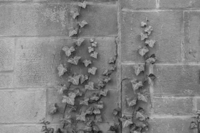 04greenblatt-kgqj-superJumbo