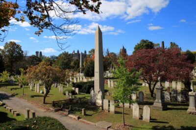 120intro20yellow-1-1024x683