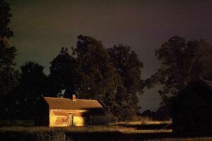 3EE91C2B00000578-4391734-image-a-4_1491652182329