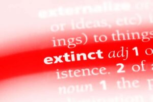 Extinct-1200x801-1