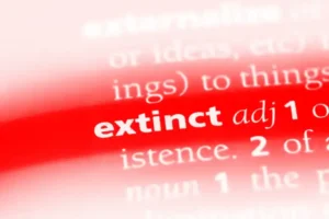 Extinct-1200x801.jpg