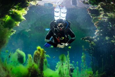 Screen Shot 2025-09-07 at 5.58.14 AM